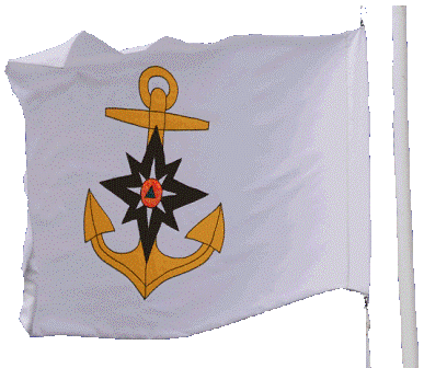 Флаг ГИМС